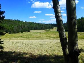 wwhite-mountains-2014-day4-20  meadow.jpg (324627 bytes)